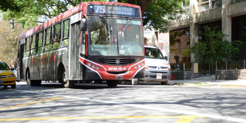 Colectivo-800x400
