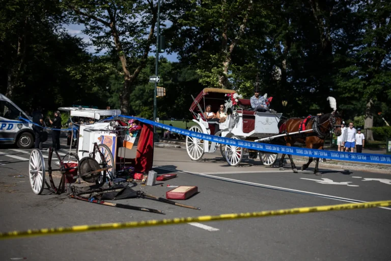 17met-horse-carriage-jfvp-superJumbo