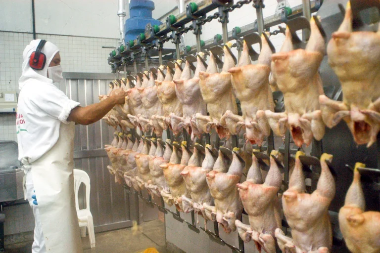 Granja-Tres-Arroyos-ofrecio-pagar-salarios-con-pollos-optimized