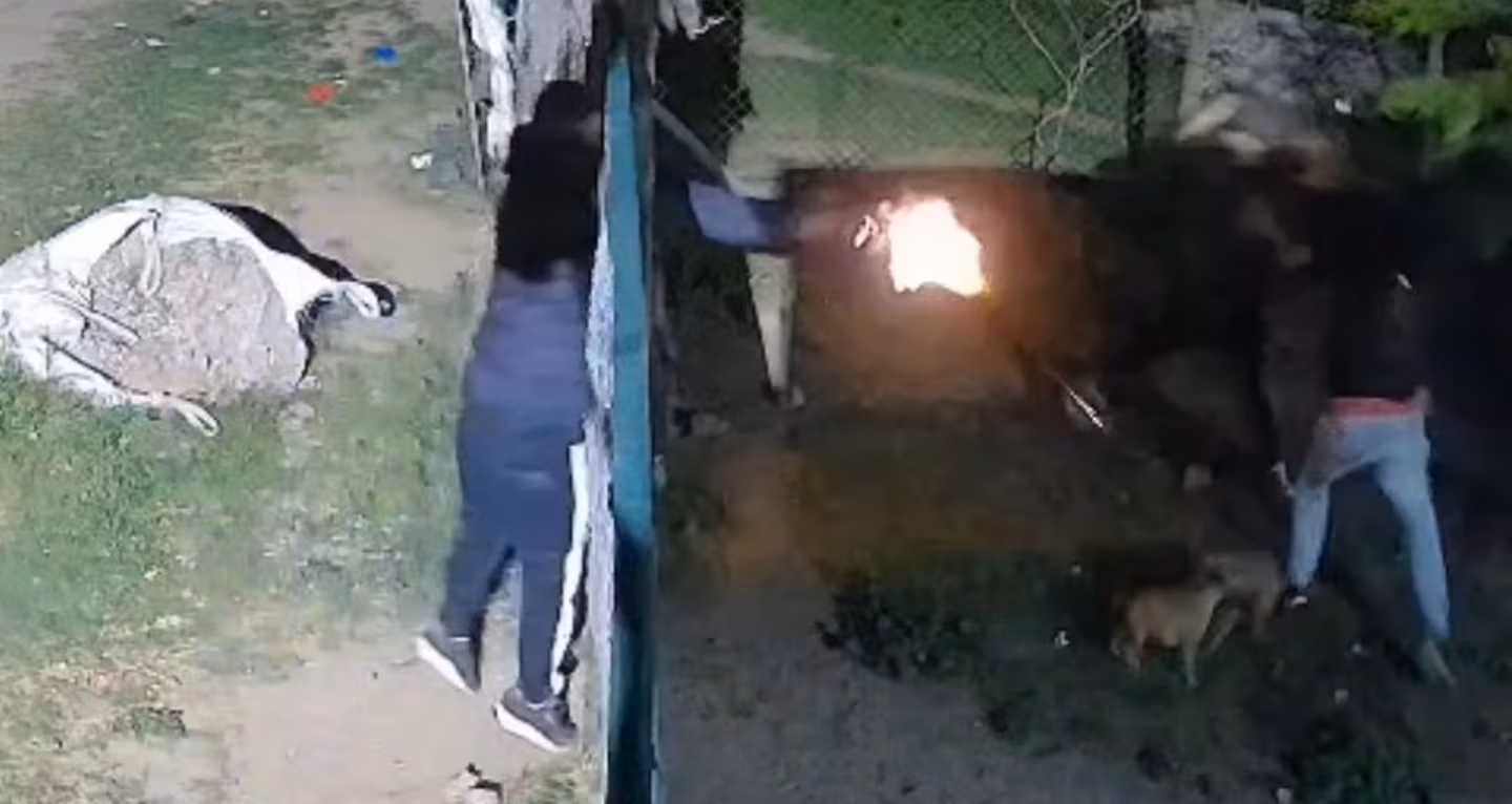 los-delincuentes-desataron-una-balacera-al-escapar-7HC3CCIS2FD4LNPATXJHD6MH6A